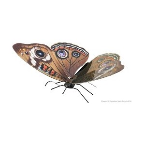 Metal Earth - Butterfly...