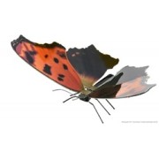 Metal Earth - Butterfly Eastern Comma