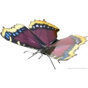 Metal Earth - Butterfly Mourning Cloak