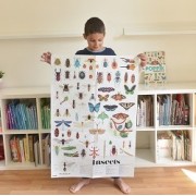 Discovery Stickers - Insects (44)