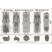 Human Body Placemat
