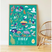 Discovery Stickers - Birds